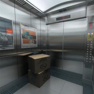 Srh German Technology Goods Elevator Lift
