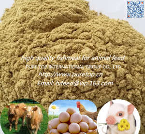 Wholesale Animal Additive Feed Grade High Protein 65% Fish Meal Price for Poultry