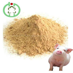 Supply L-Lysine 98.5% Good Quality Fast Delivery