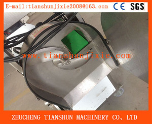 Vegetable Dicing Machine, Vegaetable Dicer Tsqc-1800